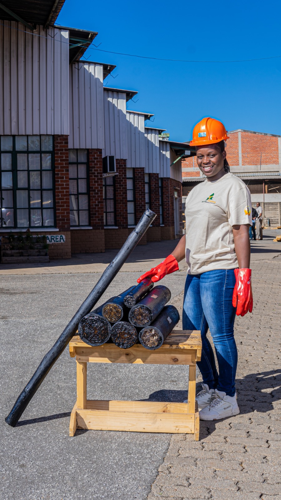 Pressurised Treated Poles